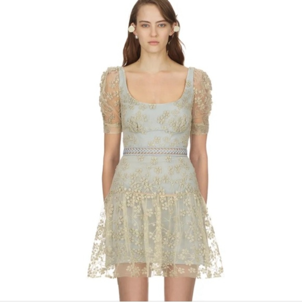 Floral Mesh Lace Gold and Blue Dress - Picture 4 of 5